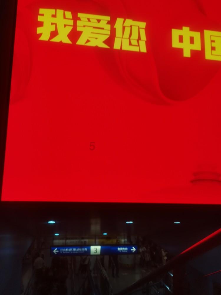 落水狗血战日